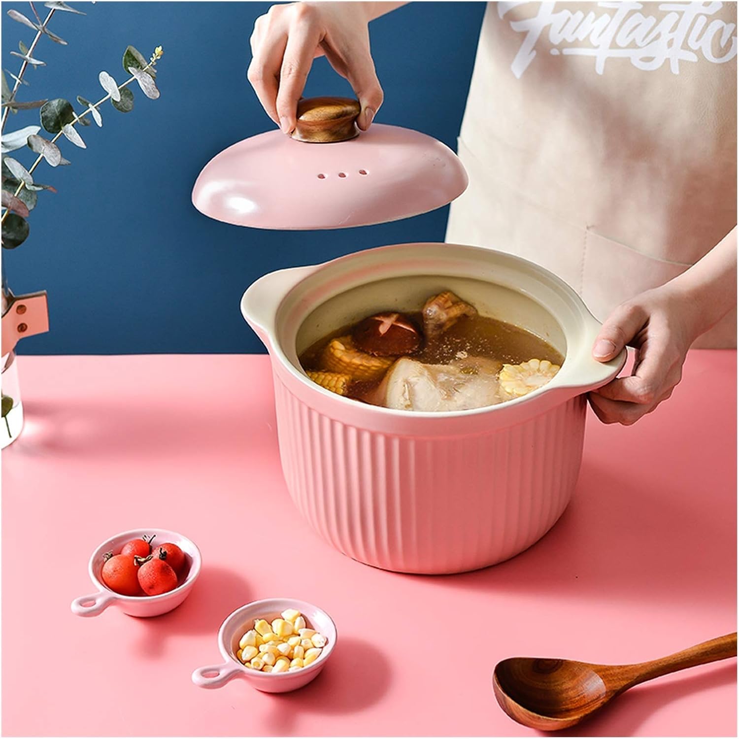 SISWIM 26L Induction Casserole with Lid