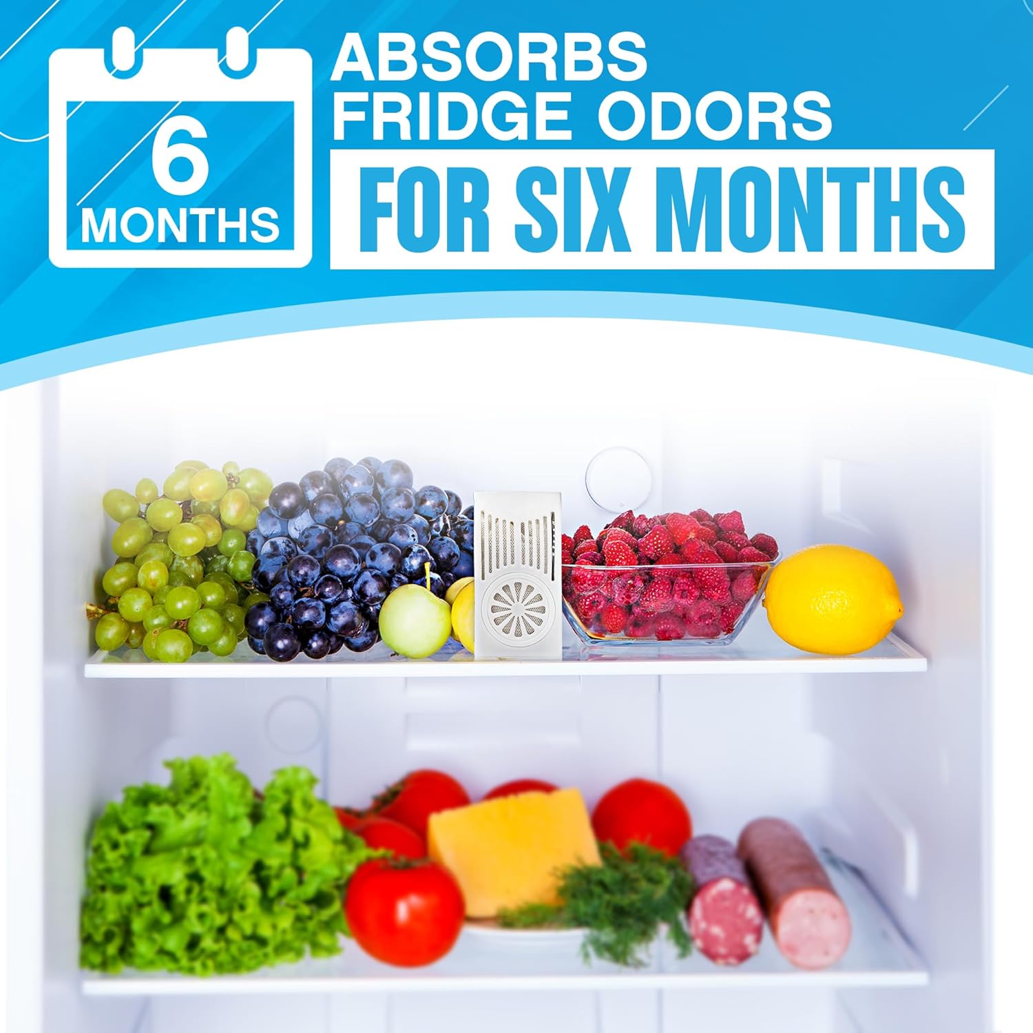 NonScents Refrigerator Deodorizer 2-Count