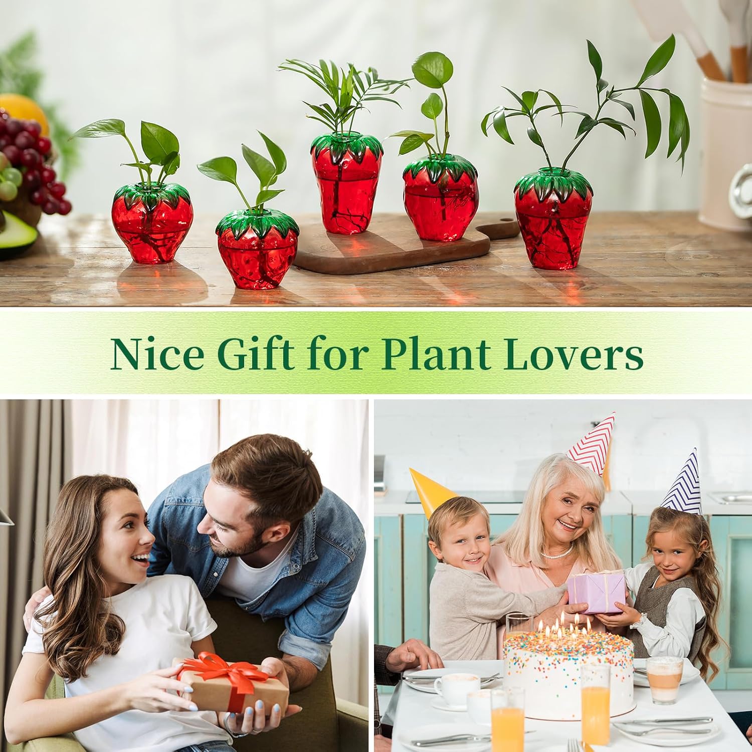 Glass Strawberry Plant Propagation Vases Set of 5
